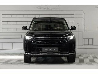 2025 Seres M7, чёрный, 6890000 рублей, вид 2