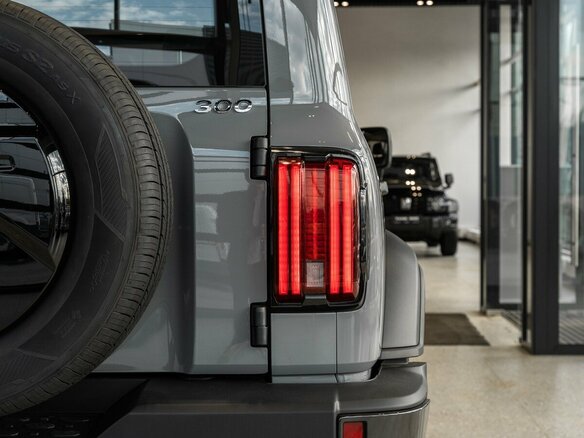 2026 Tank 300 I, серый, 4799000 рублей - вид 8