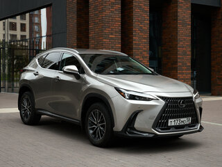 2022 Lexus NX 250 II, серый, 4500000 рублей, вид 1