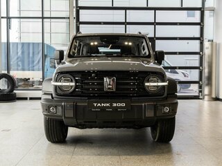 2026 Tank 300 I, серый, 5249000 рублей, вид 1