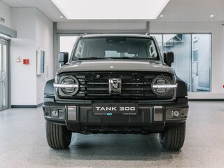 2026 Tank 300 I, серый, 4899000 рублей, вид 2