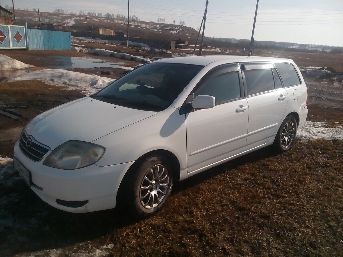 Toyota Corolla e120 Fielder универсал белая