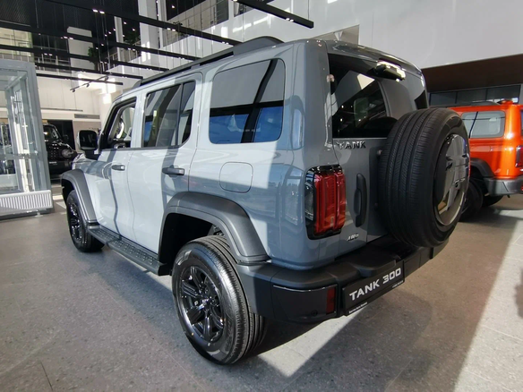2025 Tank 300 I, серый, 4599000 рублей - вид 4