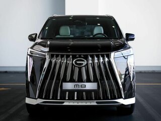 2024 GAC M8, чёрный, 5940000 рублей, вид 2