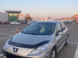 2006 Peugeot 307 I Рестайлинг, серый, 310000 рублей, вид 1