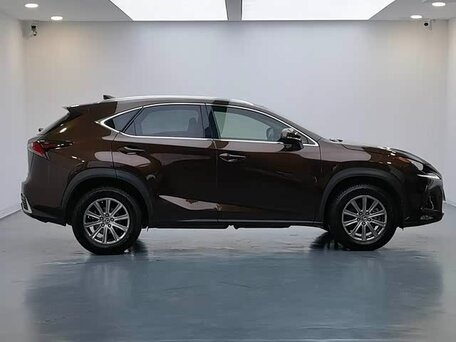 2021 Lexus NX 200 I Рестайлинг, коричневый, 3663000 рублей, вид 3