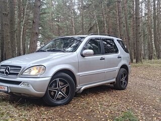 2002 Mercedes-Benz M-Класс 270 I (W163) Рестайлинг, серебристый, 1000000 рублей, вид 1
