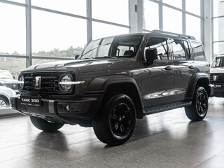 2024 Tank 300 I, серый, 4796890 рублей, вид 1