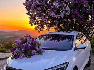 2023 Changan Eado Plus, белый, 1700000 рублей, вид 1