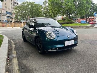 2021 Ora Good Cat 46 kWh I, зелёный, 1430000 рублей, вид 2