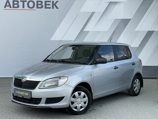 2010 Skoda Fabia II Рестайлинг, серебристый, 458000 рублей, вид 1