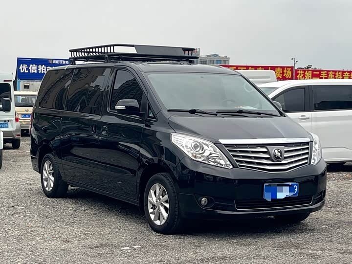 Forthing Lingzhi Plus