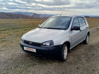 2011 Lada (ВАЗ) Kalina I, серый, 330000 рублей, вид 1