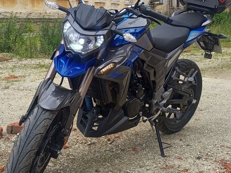 2022 Regulmoto T-Leopard 300, синий, 390000 рублей, вид 1