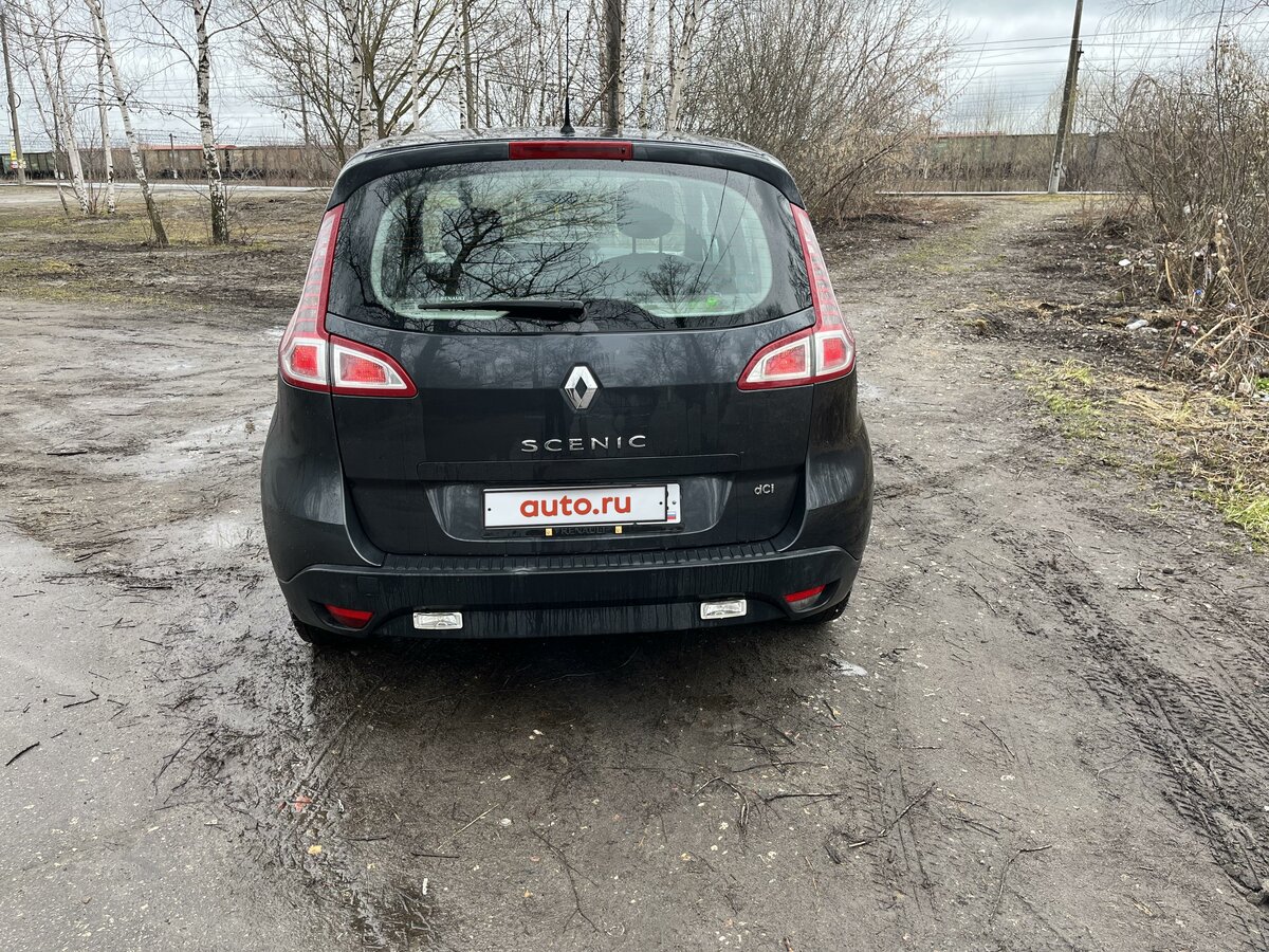 Рено сценик брянск