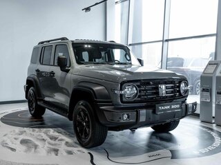 2025 Tank 300 I, серый, 5149000 рублей, вид 1