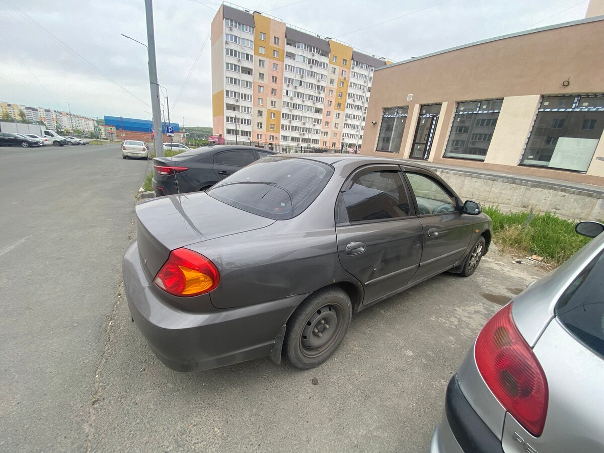 Киа спектра и киа шума отличия