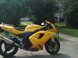 Обзор мотоцикла Triumph Daytona 955i 2005 года