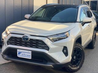 2022 Toyota RAV4 V (XA50), белый, 2650008 рублей, вид 1