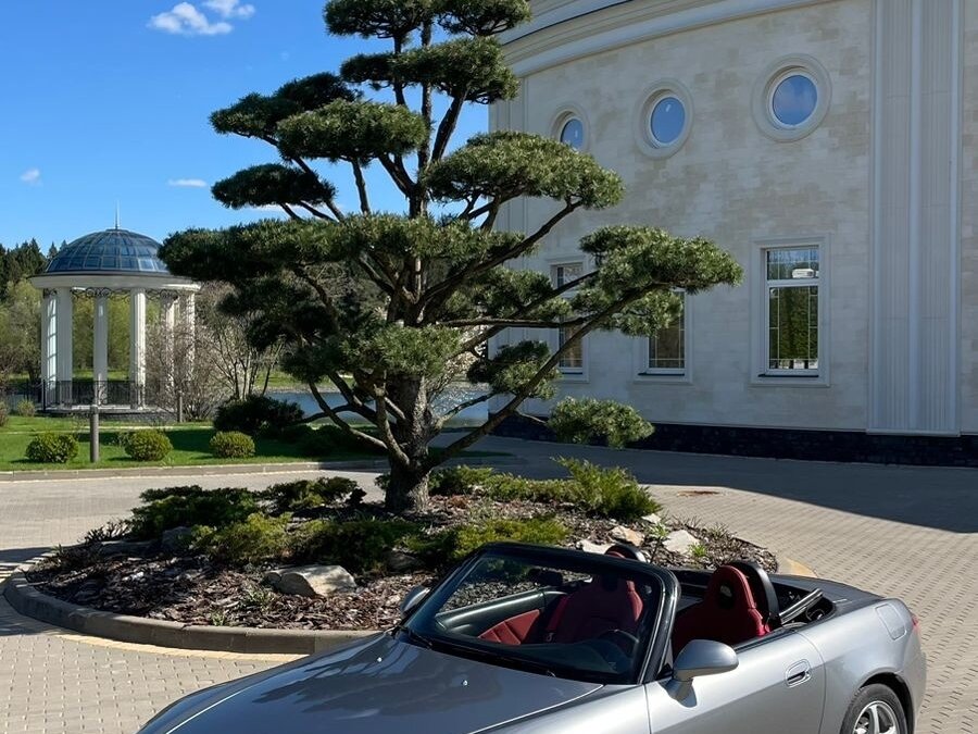 Купить б/у Honda S2000 I (AP1) 2.0 MT (240 л.с.) бензин механика в ...
