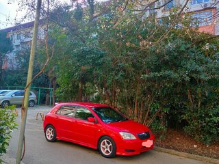 2003 Toyota Corolla IX (E120, E130) Рестайлинг, красный, 350000 рублей, вид 1