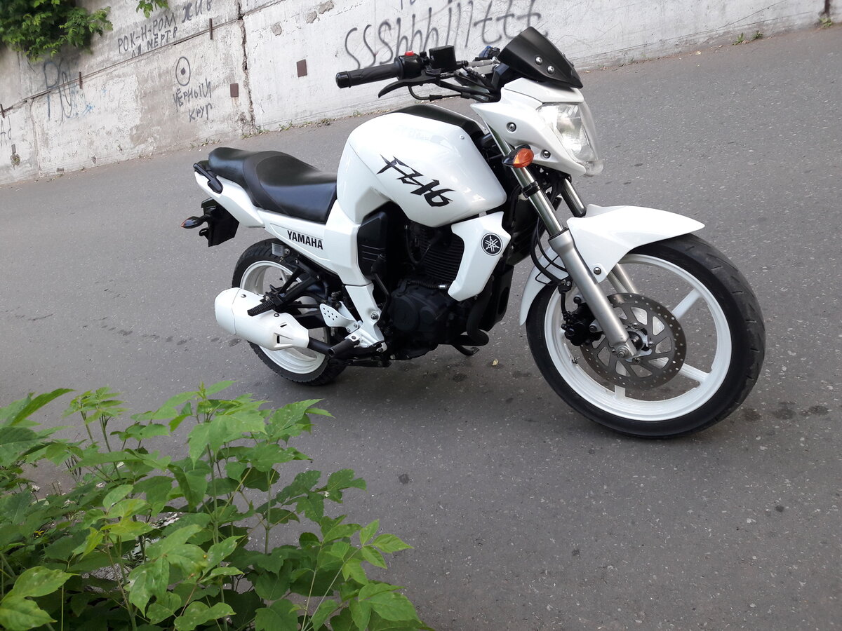 Рейсер Nitro 250