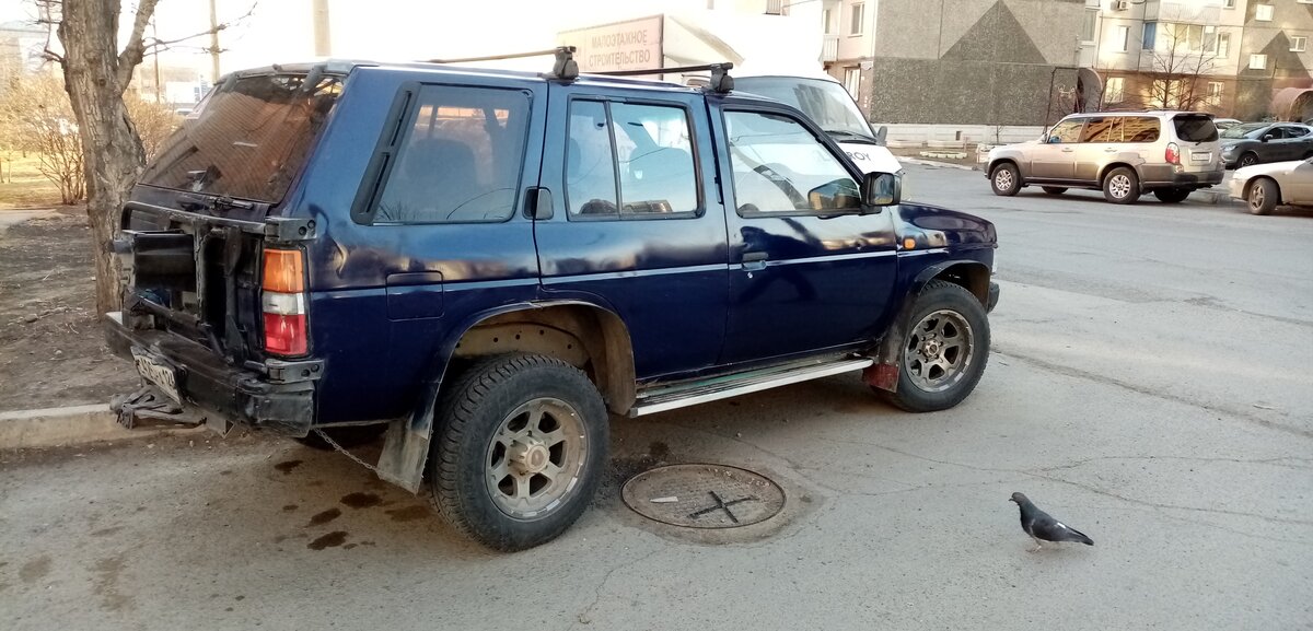 Дром алтайский край ниссан