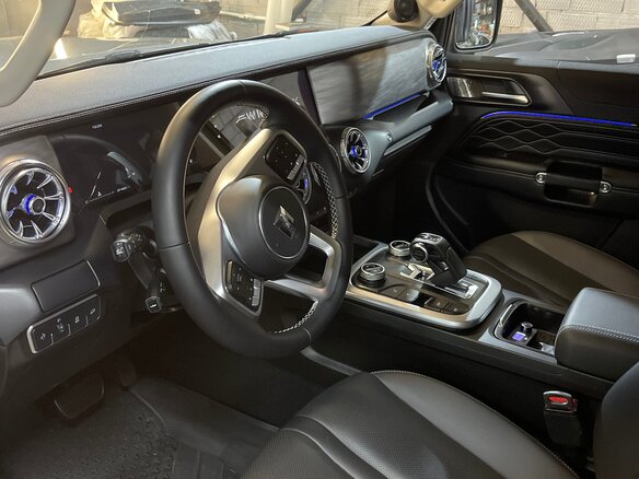 2023 Tank 300 I, серый, 4000000 рублей - вид 6