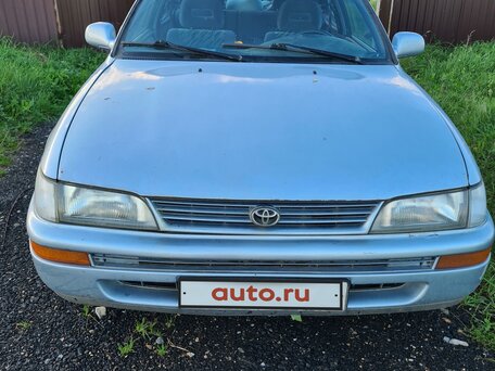 Алексеевкада жыныстық қатынас