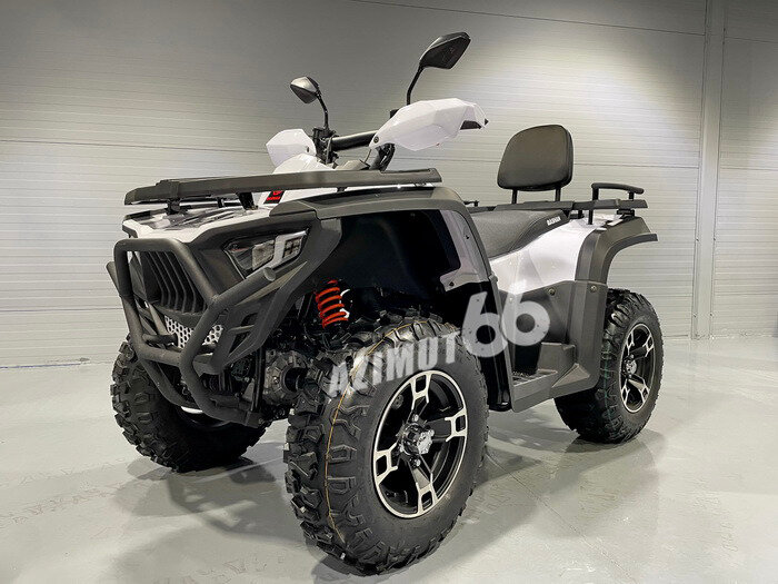 Bashan Explorer 320