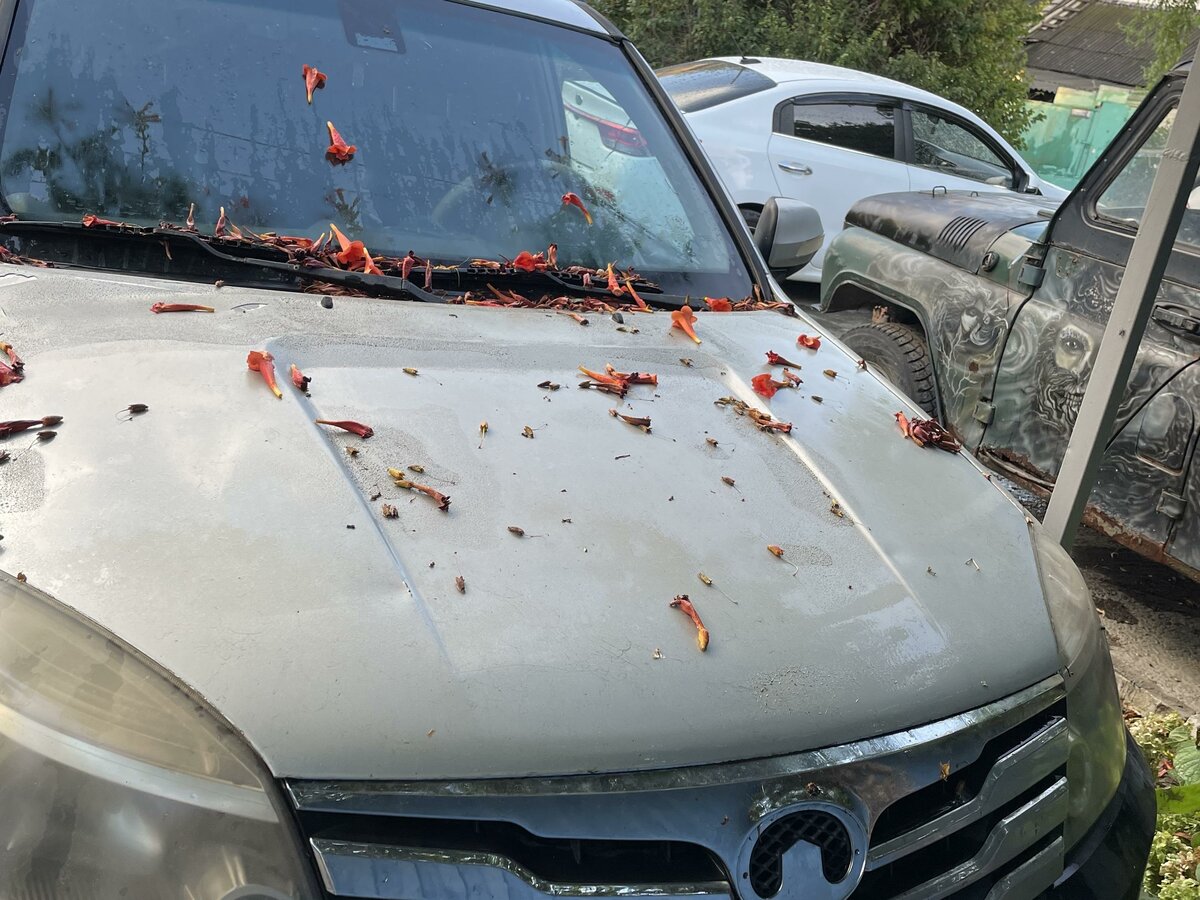 Купить б/у Great Wall Hover H3 I 2.0 MT (115 л.с.) 4WD бензин механика ...