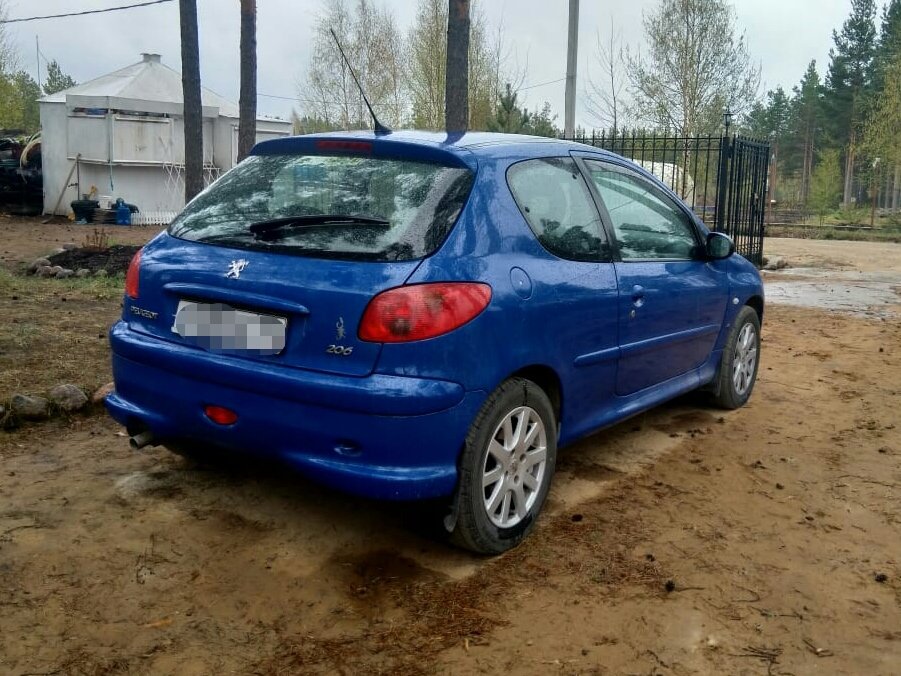Peugeot 206 1 6 РњРў