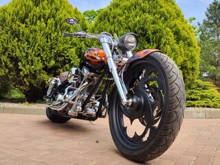 Arlen Ness Lowliner