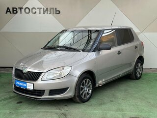 2010 Skoda Fabia II Рестайлинг, серый, 240000 рублей, вид 1