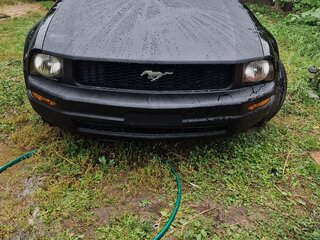 2008 Ford Mustang V, чёрный, 1990000 рублей, вид 1