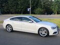 2016 Audi A5 I (8T) Рестайлинг, белый - вид 4