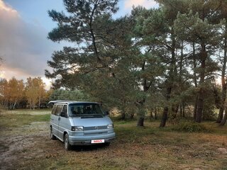 1991 Volkswagen Caravelle T4, серый, 725000 рублей, вид 1