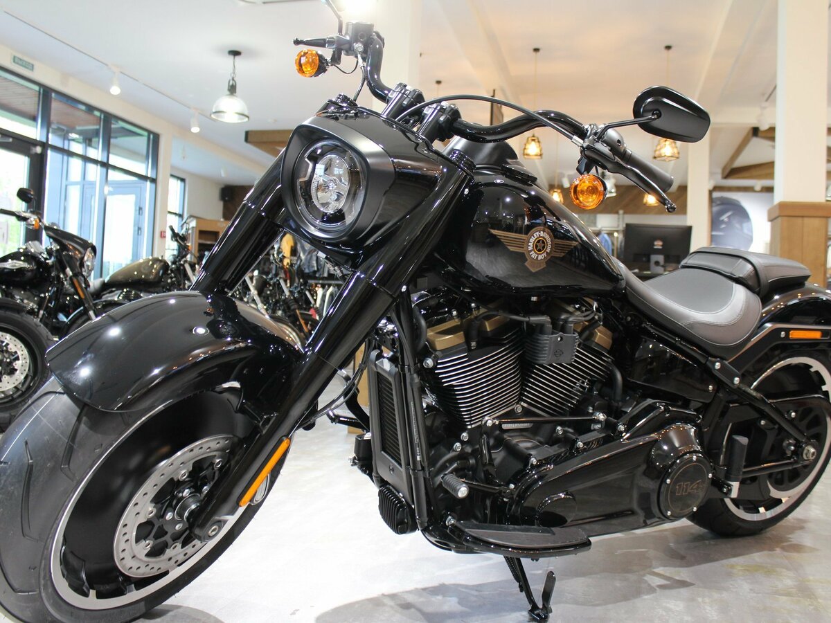 Harley davidson fat boy special edition sale
