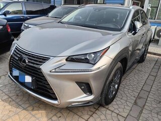 2020 Lexus NX 300 I Рестайлинг, серебристый, 2650011 рублей, вид 1