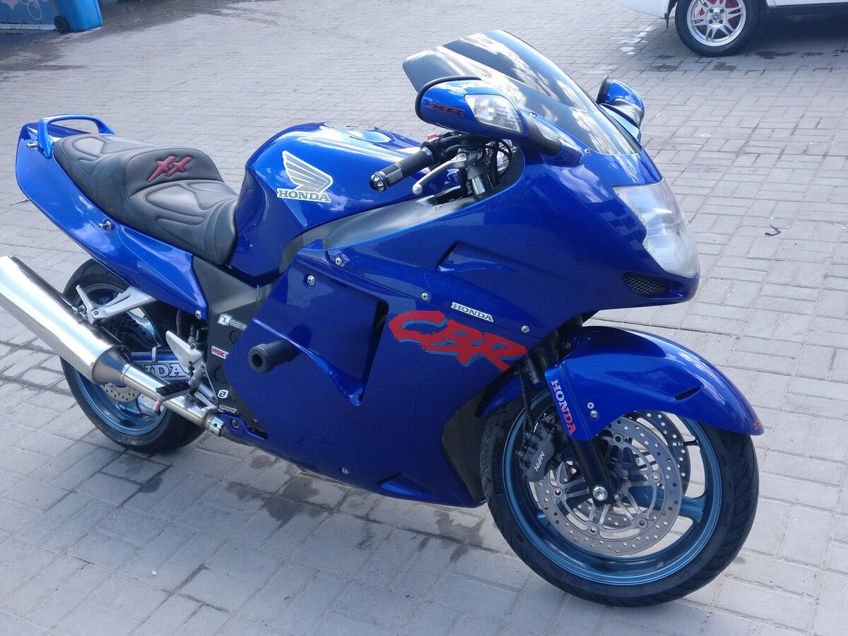 Honda cbr1100xx Custom