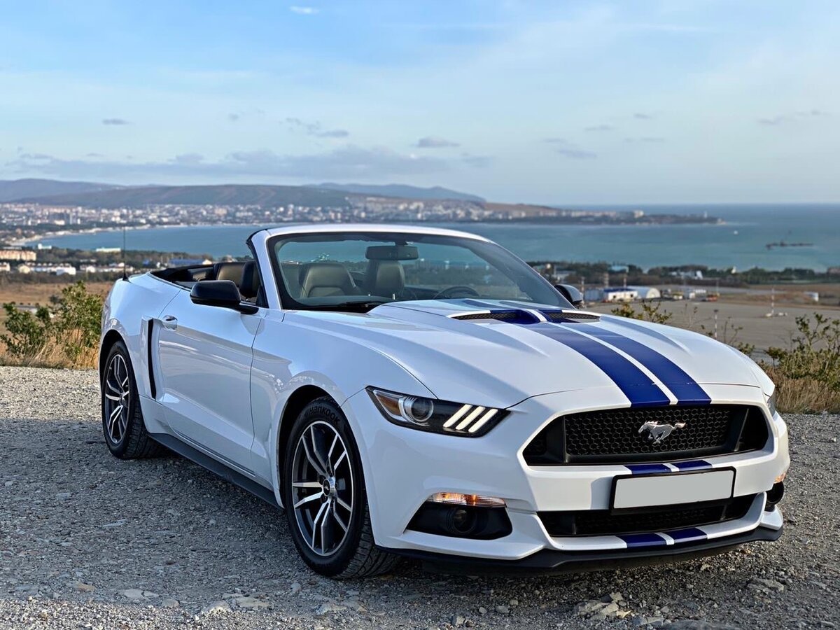 Ford mustang yandex