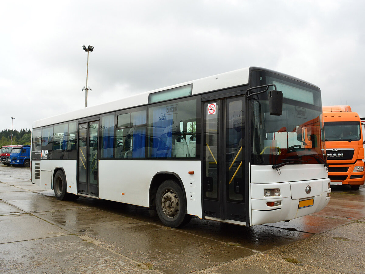 Р®С‚РѕРЅРі Golden Dragon 6126