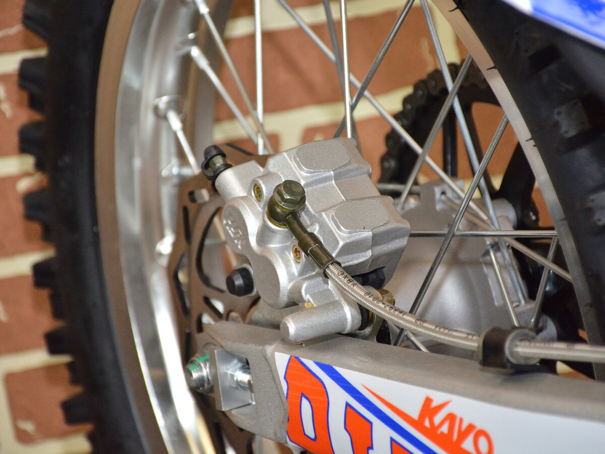 Kayo k1 2019