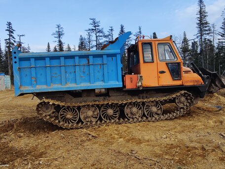2020 Алтайлесмаш ТЛ-5АЛМ, жёлтый, 3800000 рублей, вид 1