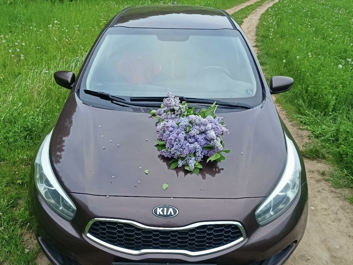 Киа сид казань