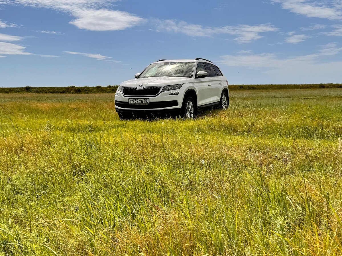 Купить б/у Skoda Kodiaq I 2.0 AMT (180 л.с.) 4WD бензин робот в Омске ...