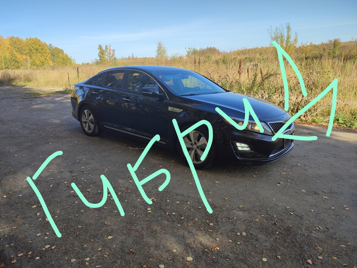 Авто оптима новосибирск