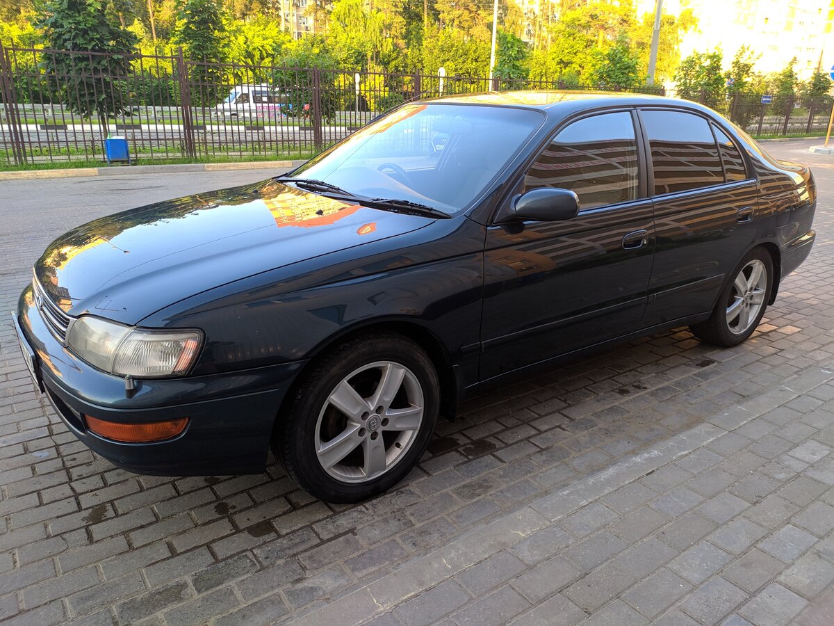 Корона авто инн