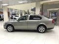2008 Skoda Octavia II (A5) Рестайлинг, бежевый - вид 4