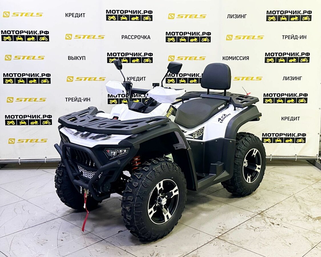 Bashan Explorer 300